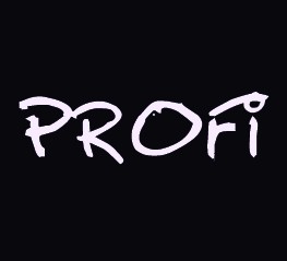 Веб-студия "ПРОФИ" — логотип
