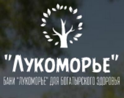 Бани Бочки — логотип