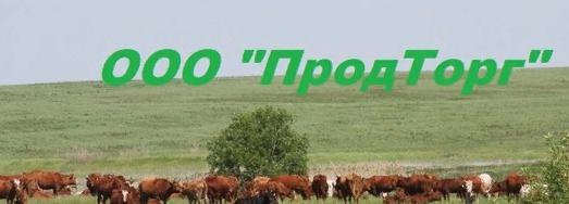 ПРОДТОРГ — логотип