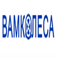 ВАМ-КОЛЕСА66 — логотип