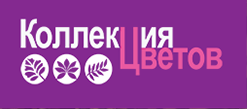 Интернет-магазин Коллекция цветов — логотип