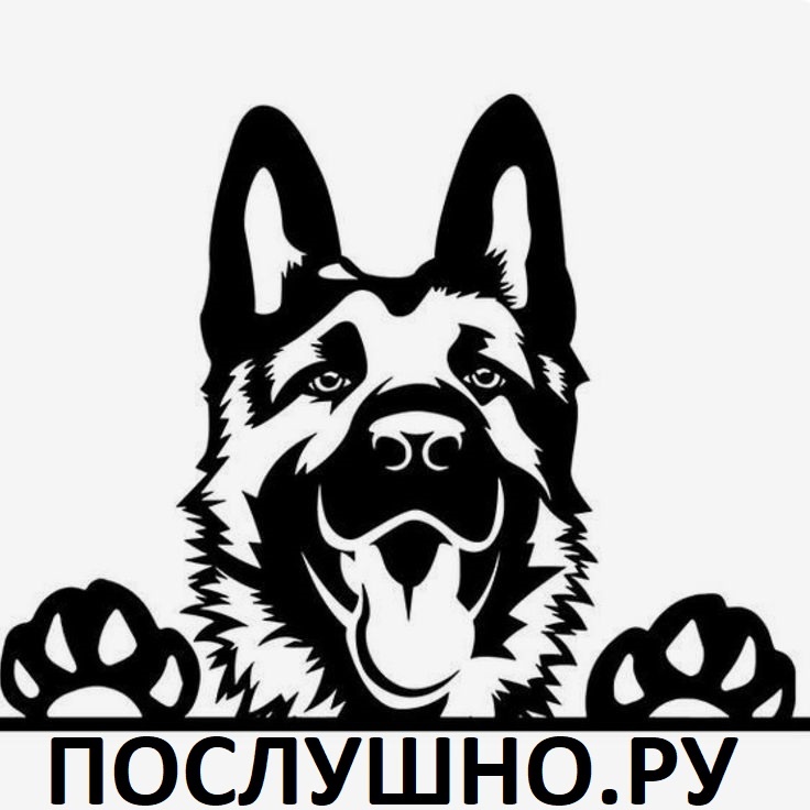 Школа дрессировки собак Послушно Ру — логотип