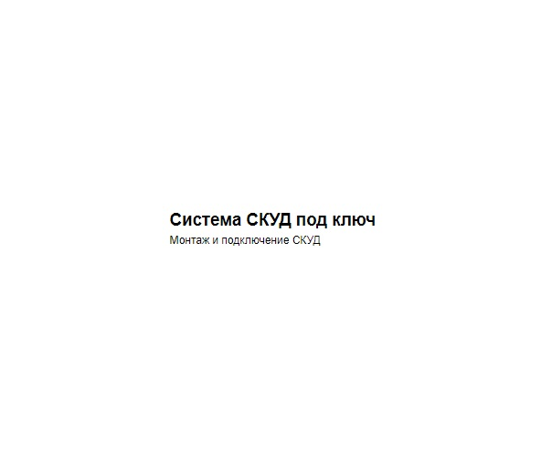 Система СКУД под ключ — логотип
