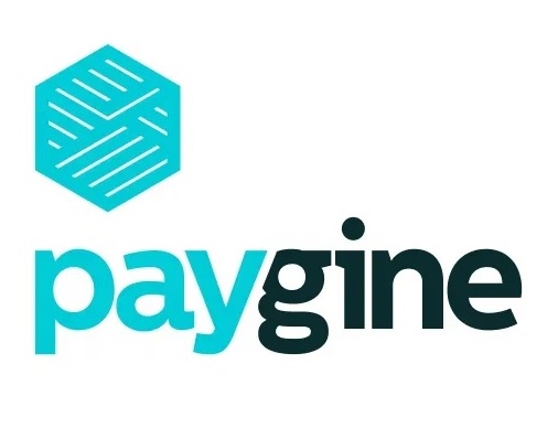 Paygine — логотип