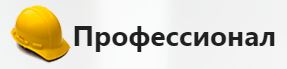 Профессионал — логотип