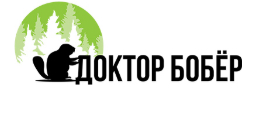 ДОКТОР БОБЕР — логотип