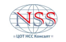 ООО "НСС Консалт" — логотип