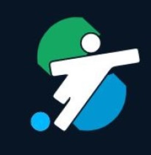 Stavkinasport.com — логотип