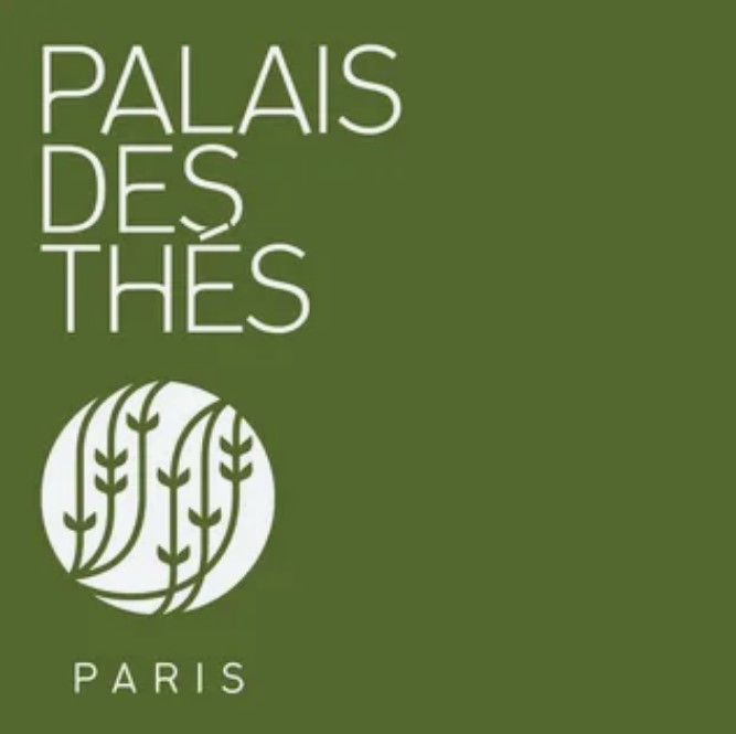 Palais Des Thes — логотип