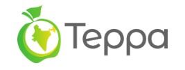 Бюро переводов "Терра" — логотип