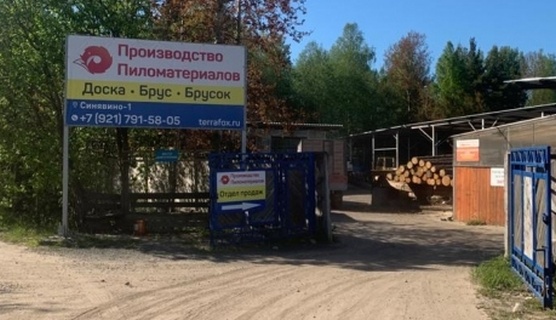 Пилорама TerraFox — логотип