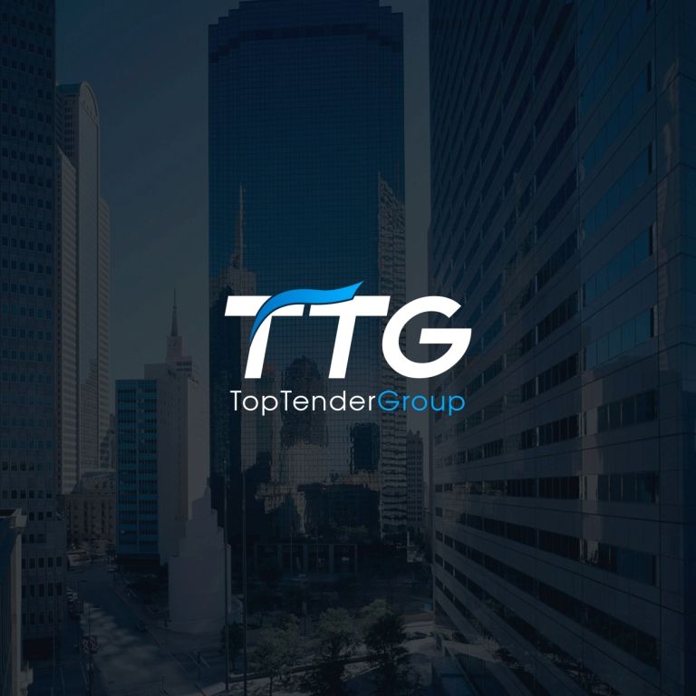 TopTenderGroup франшиза — логотип
