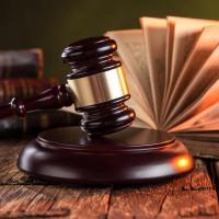 1486655874 589c9182ae06f комаров и партнеры телефон